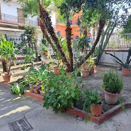 A Casa Di Luigi 2 *