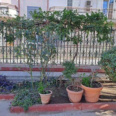 A Casa Di Luigi 2